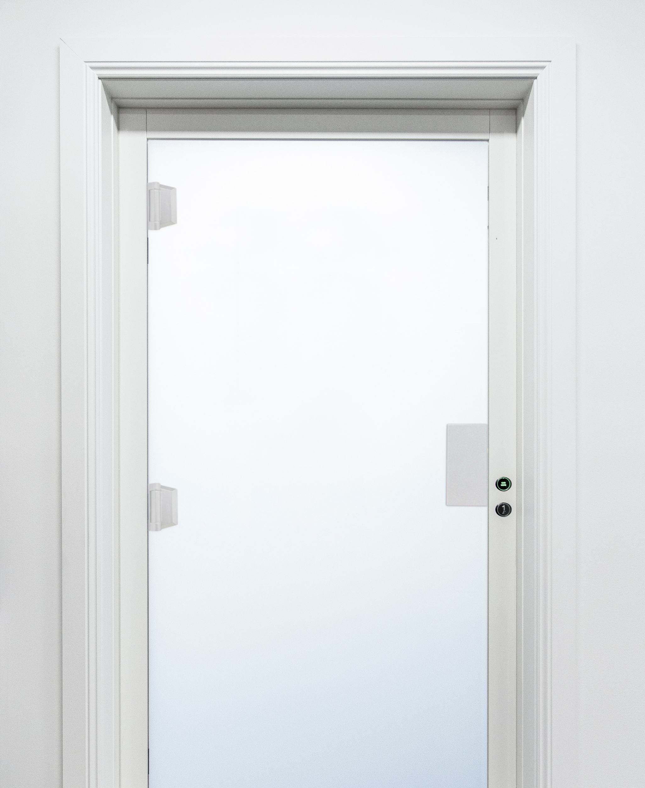 White Frameless Glass Swing Door_1 White door with frosted glass panel